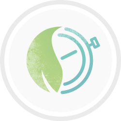 efficiency icon